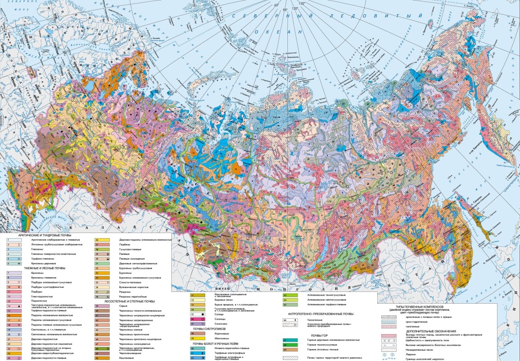 Карта почв РФ | Компания EZETEK